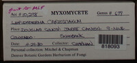 Image Associated With the Occurence